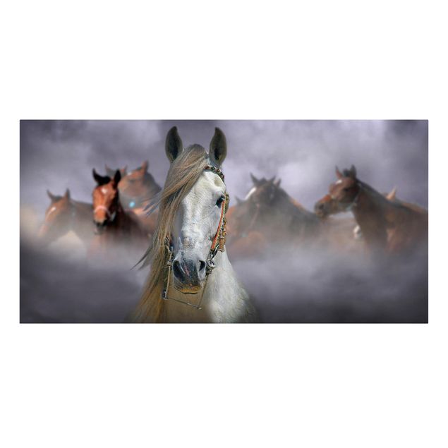 Obrazy ze zwierzętami Konie w kurzu