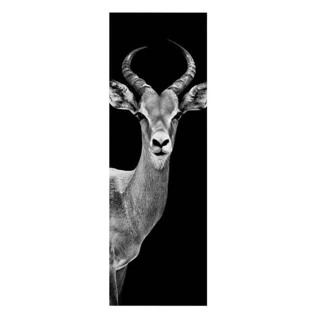 Obrazy afryka Antylopa konopiasta czarno-biała