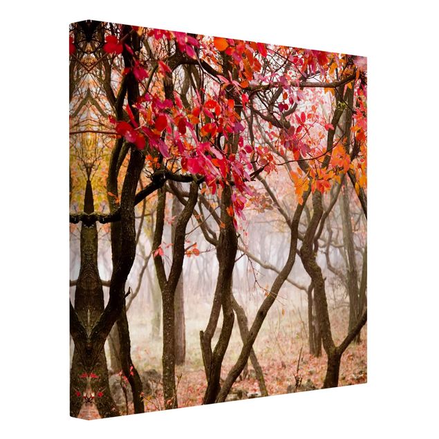 Obraz drzewo Japonia jesienią