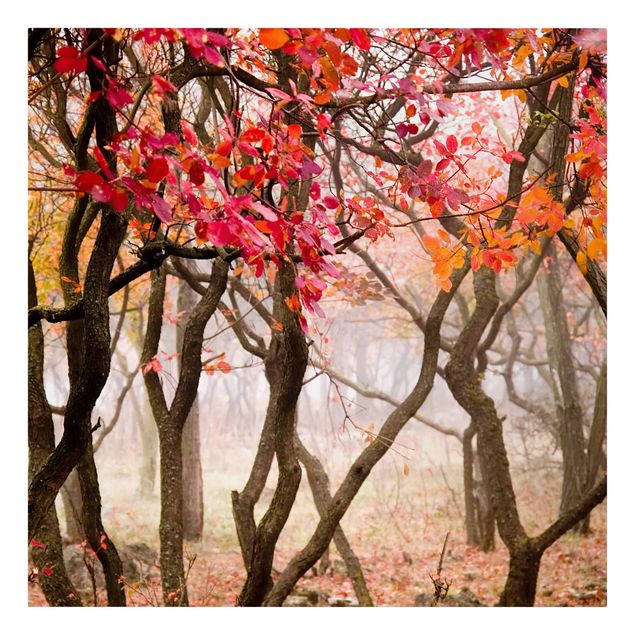 Obrazy krajobraz Japonia jesienią