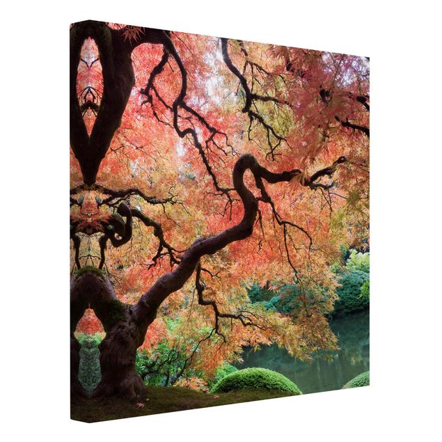 Drzewo obraz Ogród japoński