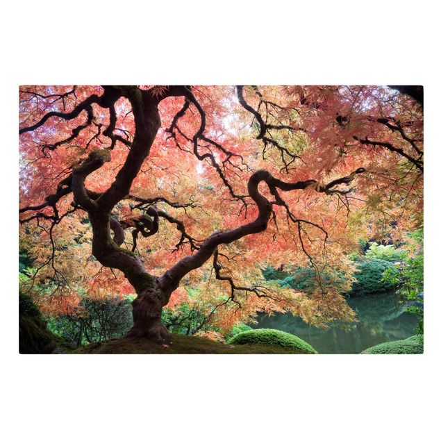 Obrazy na ścianę krajobrazy Ogród japoński