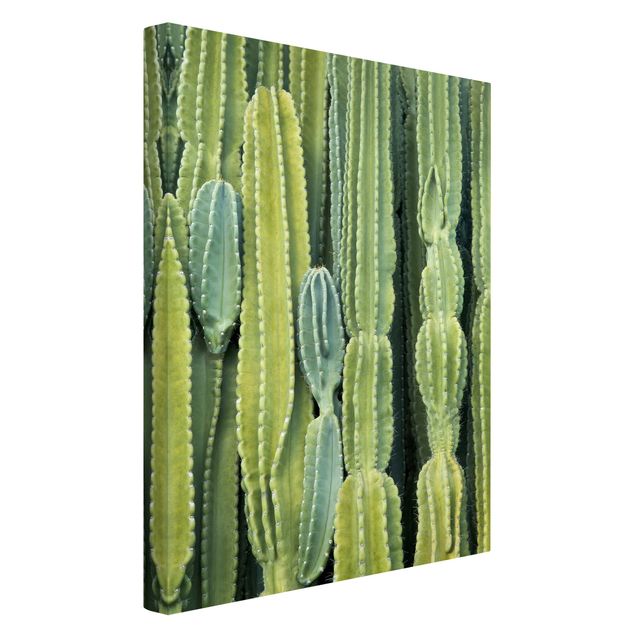 Zielony obraz Ściana kaktusów