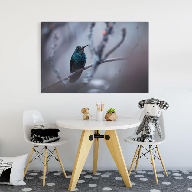 Obrazy nowoczesne Koliber w zimie