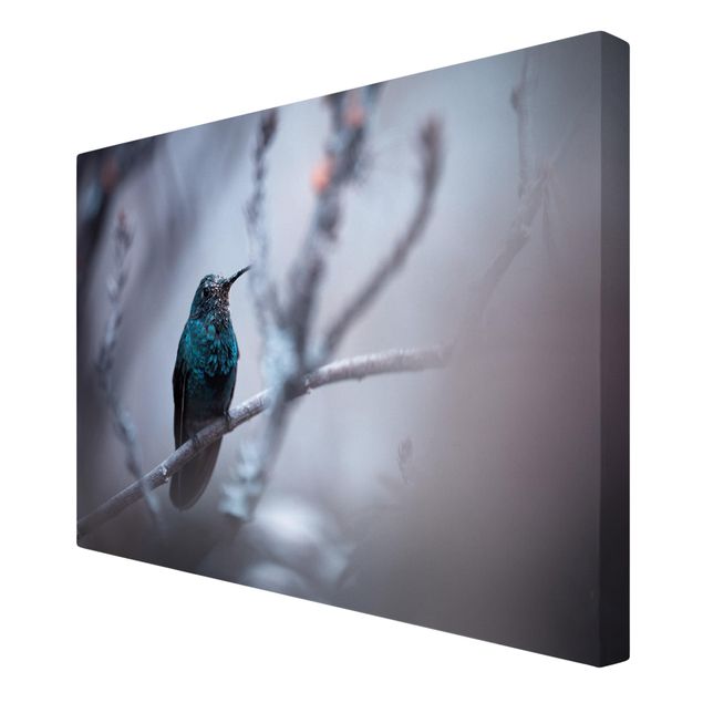 Obrazy ptaki na płótnie Koliber w zimie