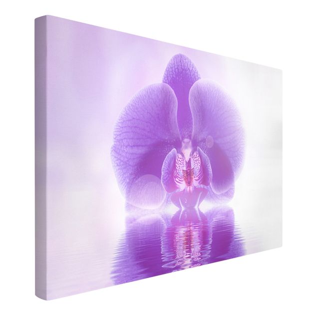 Obrazy na płótnie orchidea Purpurowy storczyk na wodzie