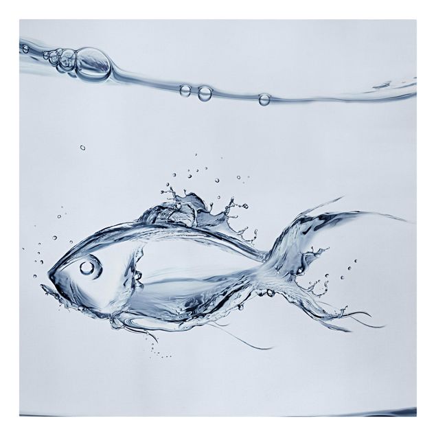 Ryby obrazy Płynna srebrna ryba