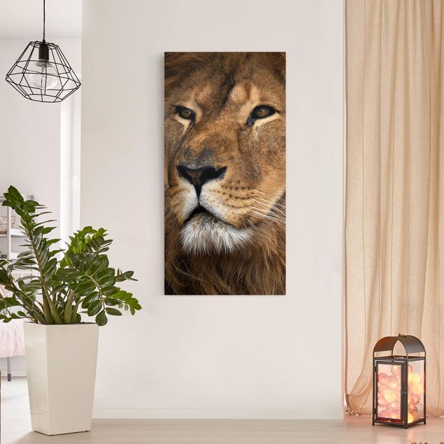 Obrazy do salonu Widok lwa