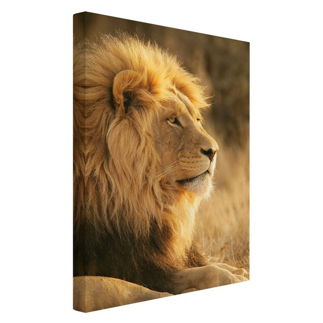 Obrazy zwierzęta Król lew