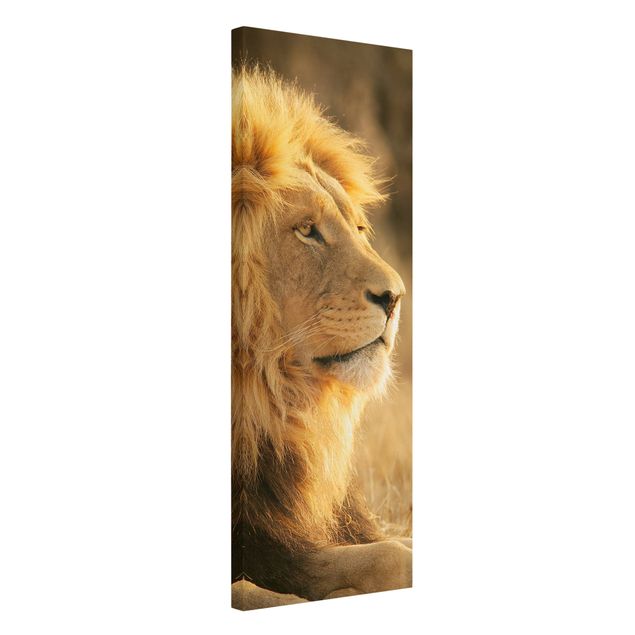 Obrazy zwierzęta Król lew