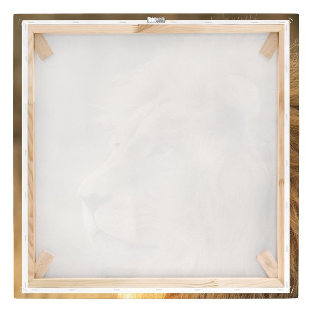 Obraz kota na płótnie Król lew
