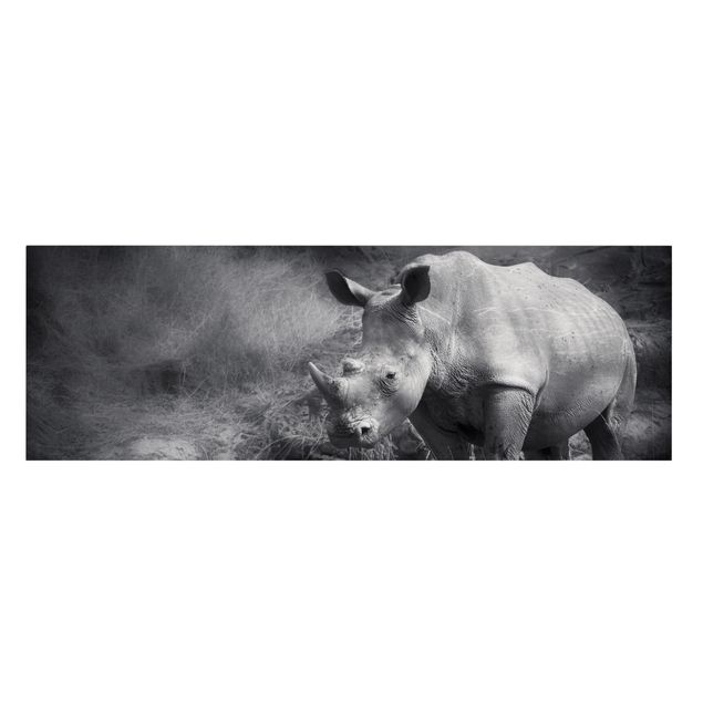 Obrazy afryka Nosorożec samotnik