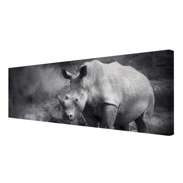 Czarno białe obrazki Nosorożec samotnik