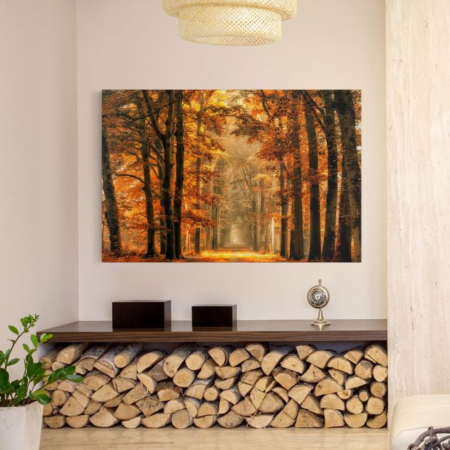Nowoczesne obrazy do salonu Bajkowy las jesienią