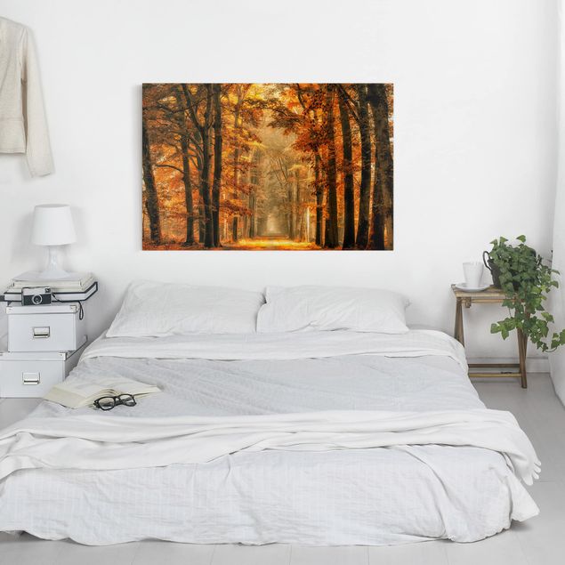 Obrazy nowoczesny Bajkowy las jesienią