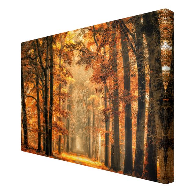 Pomarańczowy obraz Bajkowy las jesienią