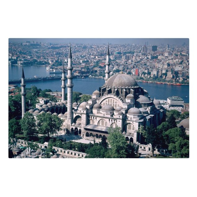 Obraz szary Mosque Istanbul