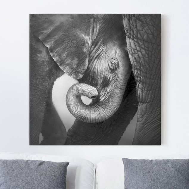 Słoń obraz Matczyna miłość