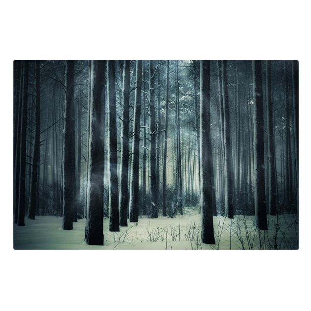 Obrazy krajobraz Mistyczny las zimowy