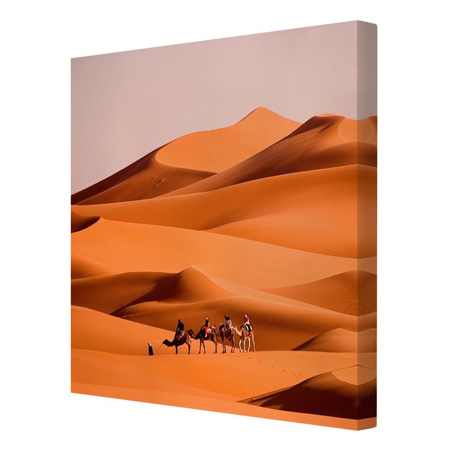 Obrazy natura Pustynia Namib