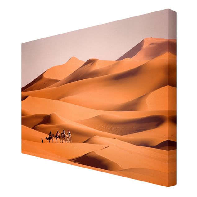 Obrazy natura Pustynia Namib