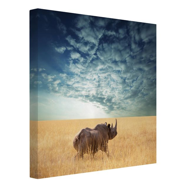 Obrazy krajobraz Nosorożec w Sawannie