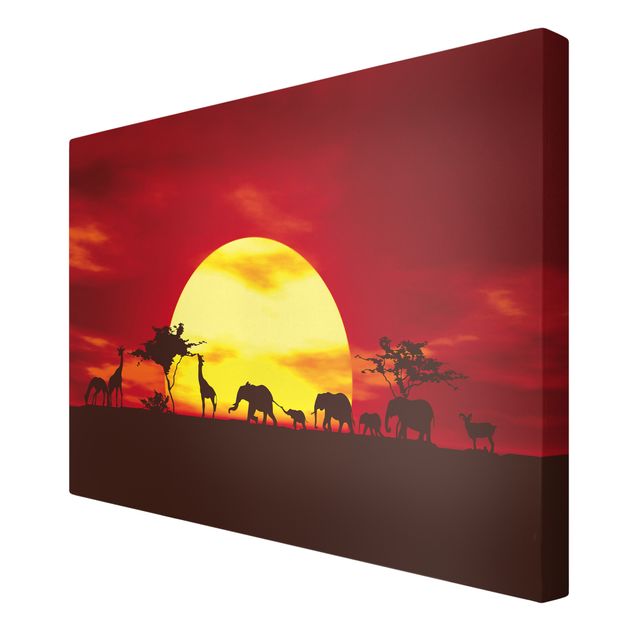 Obrazy słoń Karawana o zachodzie słońca