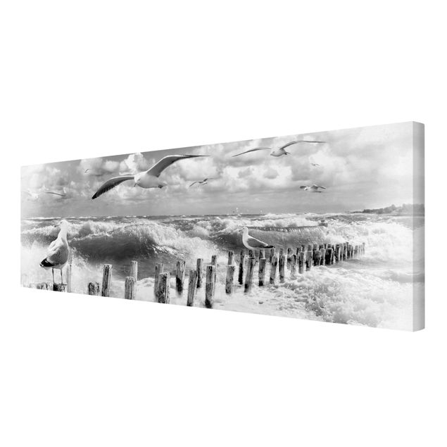 Obraz morze plaża Absolutna Sylt II