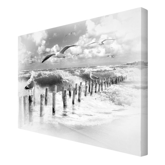 Obraz morze plaża Absolutna Sylt II