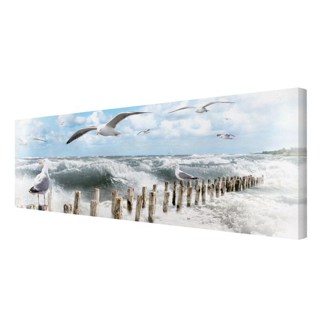 Plaża obraz Absolutna Sylt