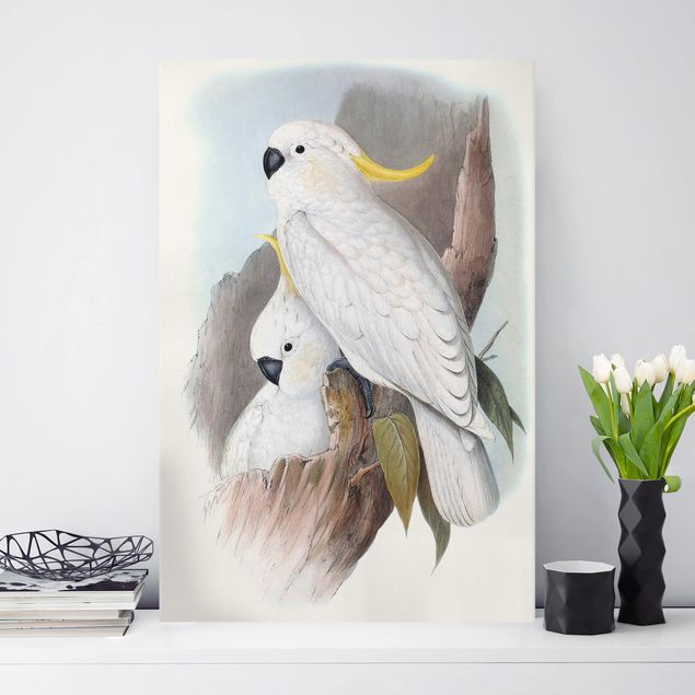 Obrazy do salonu nowoczesne Pastelowe papugi III