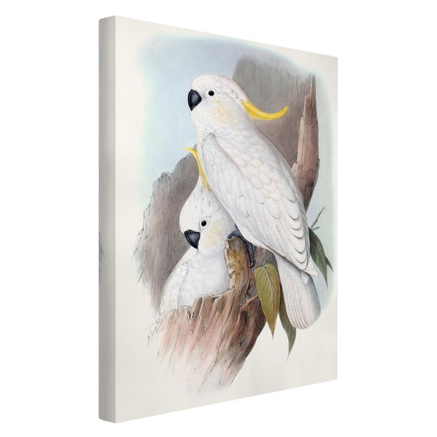 Zwierzęta obrazy Pastelowe papugi III