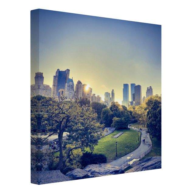 Nowoczesne obrazy Pokojowy Central Park