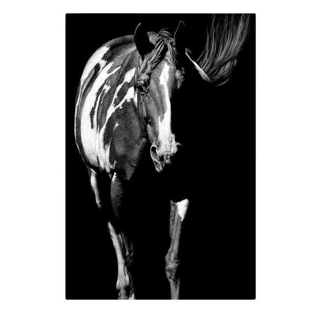 Obrazy ze zwierzętami Koń przed Czarnym