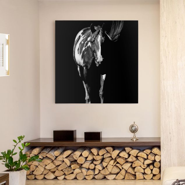Obrazy nowoczesny Koń przed Czarnym