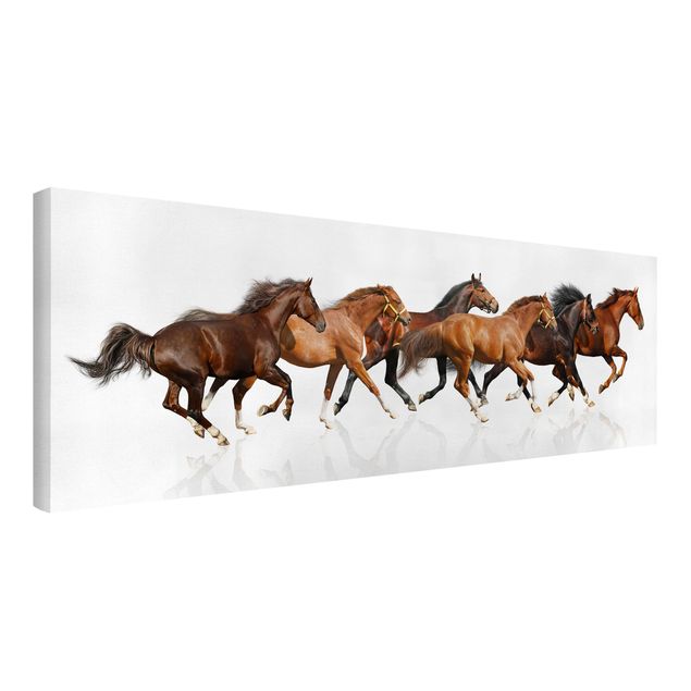 Obrazy ze zwierzętami Stado koni