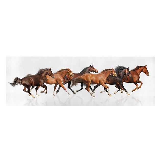 Obraz na płótnie konie Stado koni