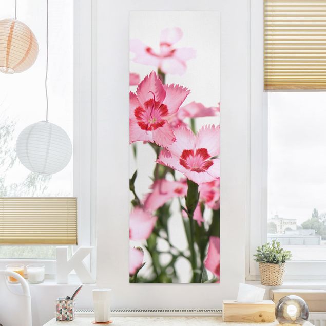 Nowoczesne obrazy Różowe kwiaty