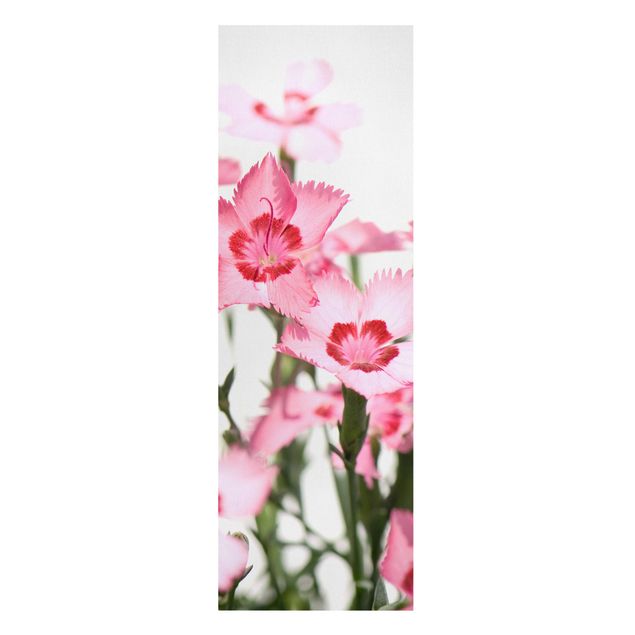 Obrazy na ścianę Różowe kwiaty