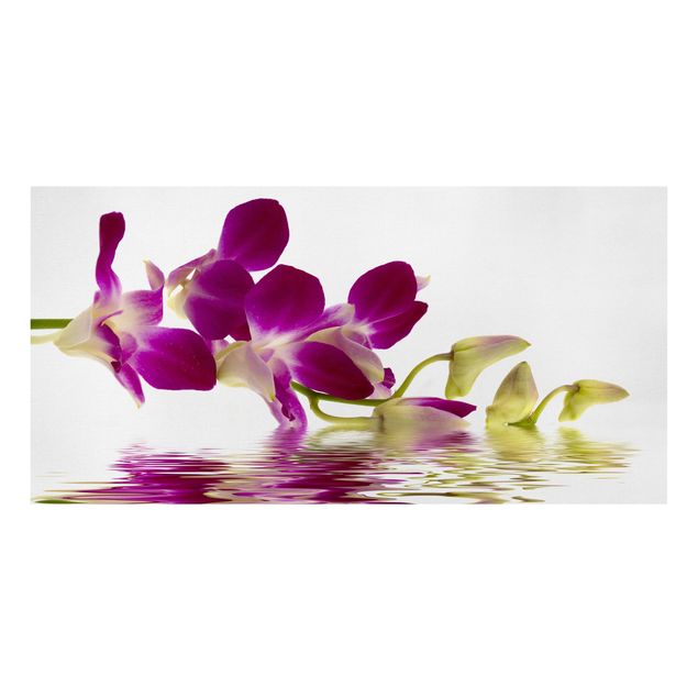 Dekoracja do kuchni Wody różowej orchidei