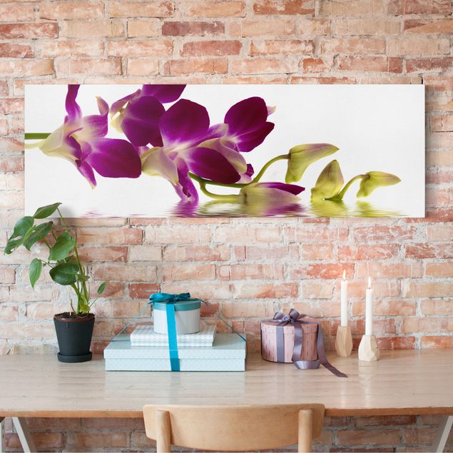 Nowoczesne obrazy Wody różowej orchidei
