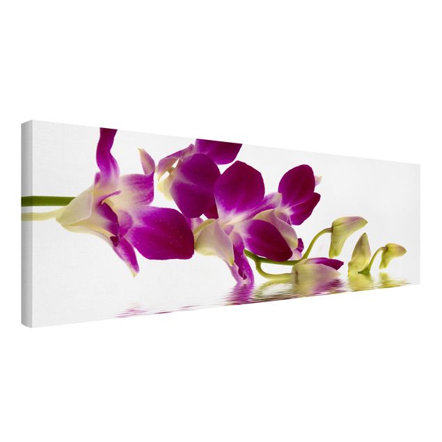 Obrazy na płótnie orchidea Wody różowej orchidei