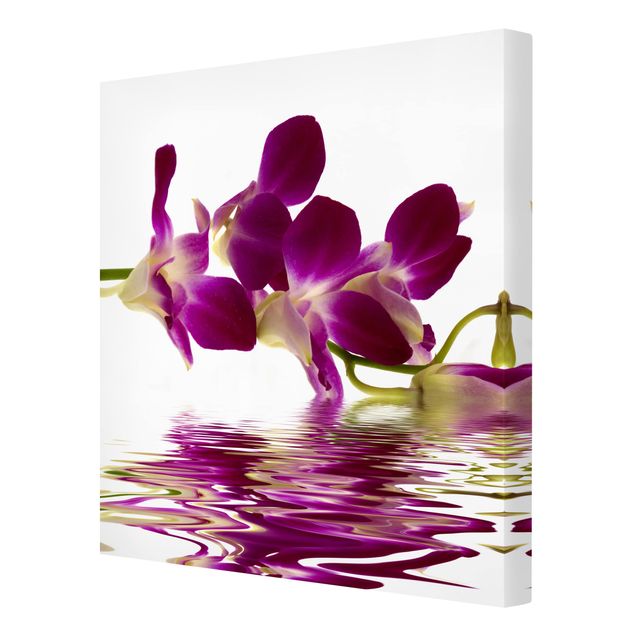 Obrazy z motywem kwiatowym Wody różowej orchidei