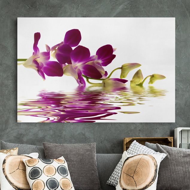 Obrazy do salonu nowoczesne Wody różowej orchidei