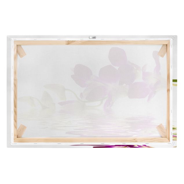 Obrazy na ścianę Wody różowej orchidei