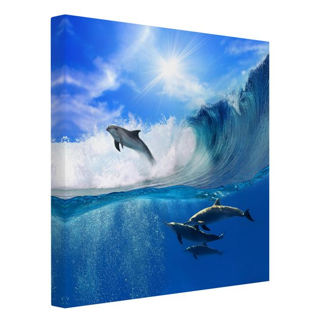 Obrazy z morzem Gra w delfiny