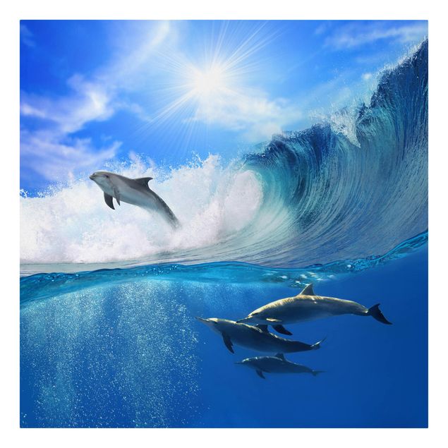Obrazy krajobraz Gra w delfiny