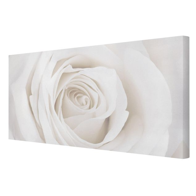 Obrazy na ścianę Piękna biała róża