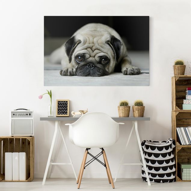 Obrazy nowoczesny Pug Cię kocha