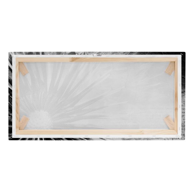 Obrazy na płótnie dmuchawce Dandelion czarno-biały